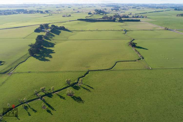 1347 State Highway 1 Marton_8