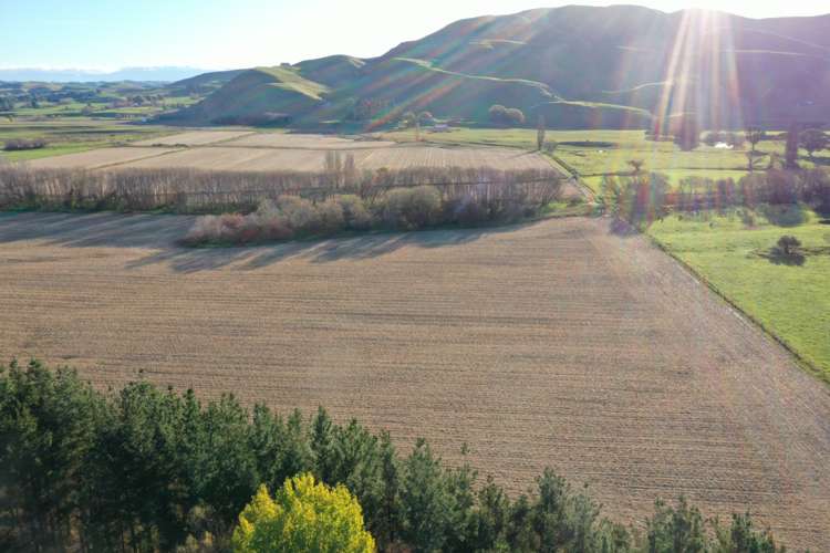 2813 Middle Road Patangata_7