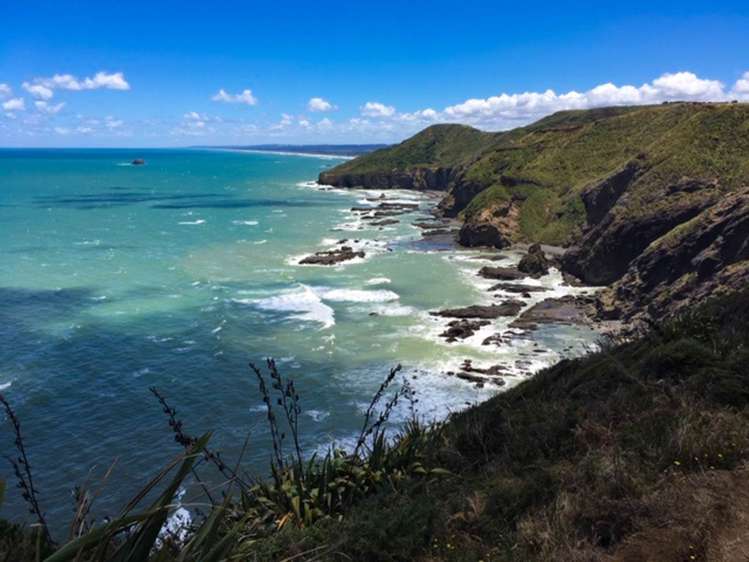 276 Bethells Road Bethells Beach_32