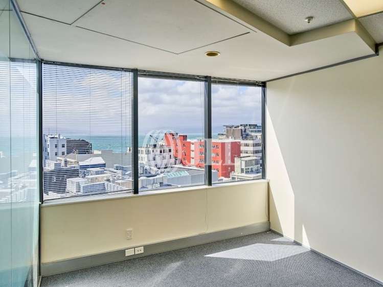 Level 9 - Whole/76 - 86 Manners Street Te Aro_6