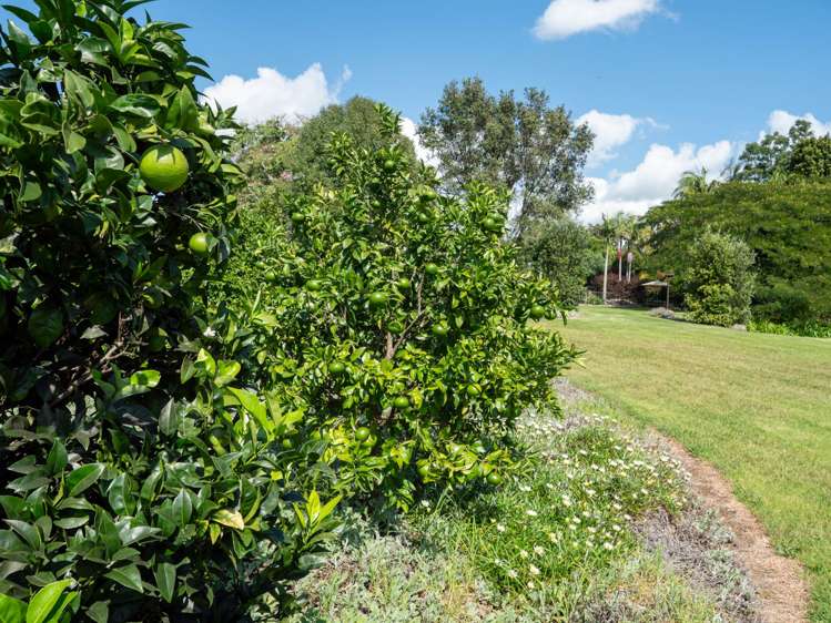 50B Equestrian Drive Kerikeri_25