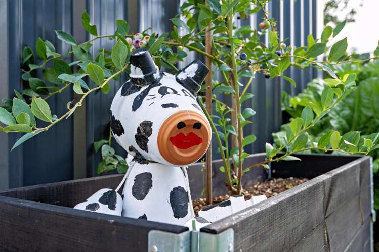 93 Goring Street Opotiki and Surrounds_27