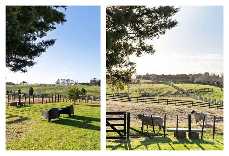 371 Seagrove Road Waiau Pa_30