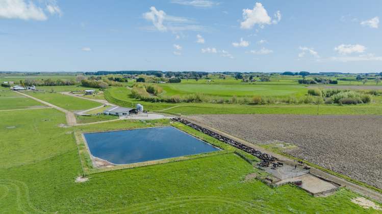 1217 Rangiotu Road Tiakitahuna_15