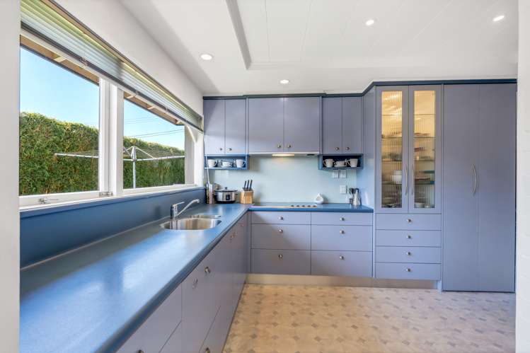 366 Point View Drive Shamrock Park_21