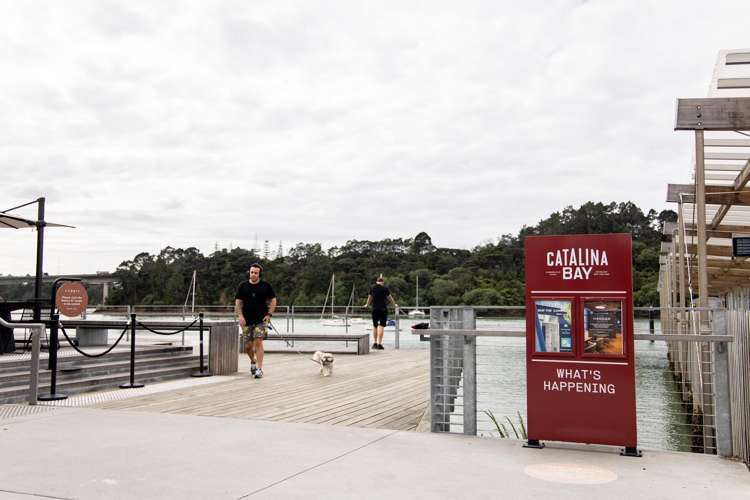 10 Alexander Willis Crescent Hobsonville_37