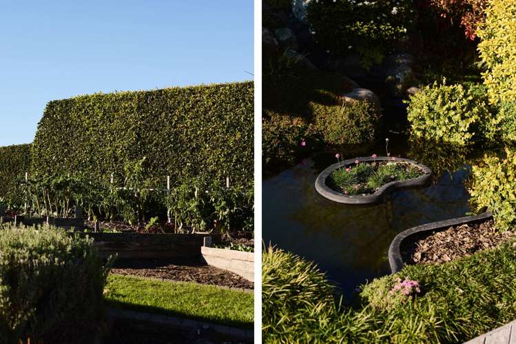 9 Tupelo Place Ohauiti_17