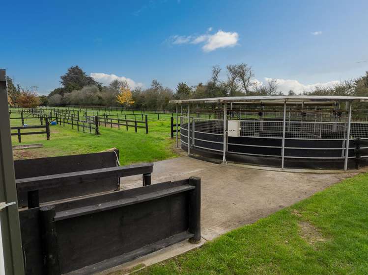 204 Racecourse Road Cambridge_25