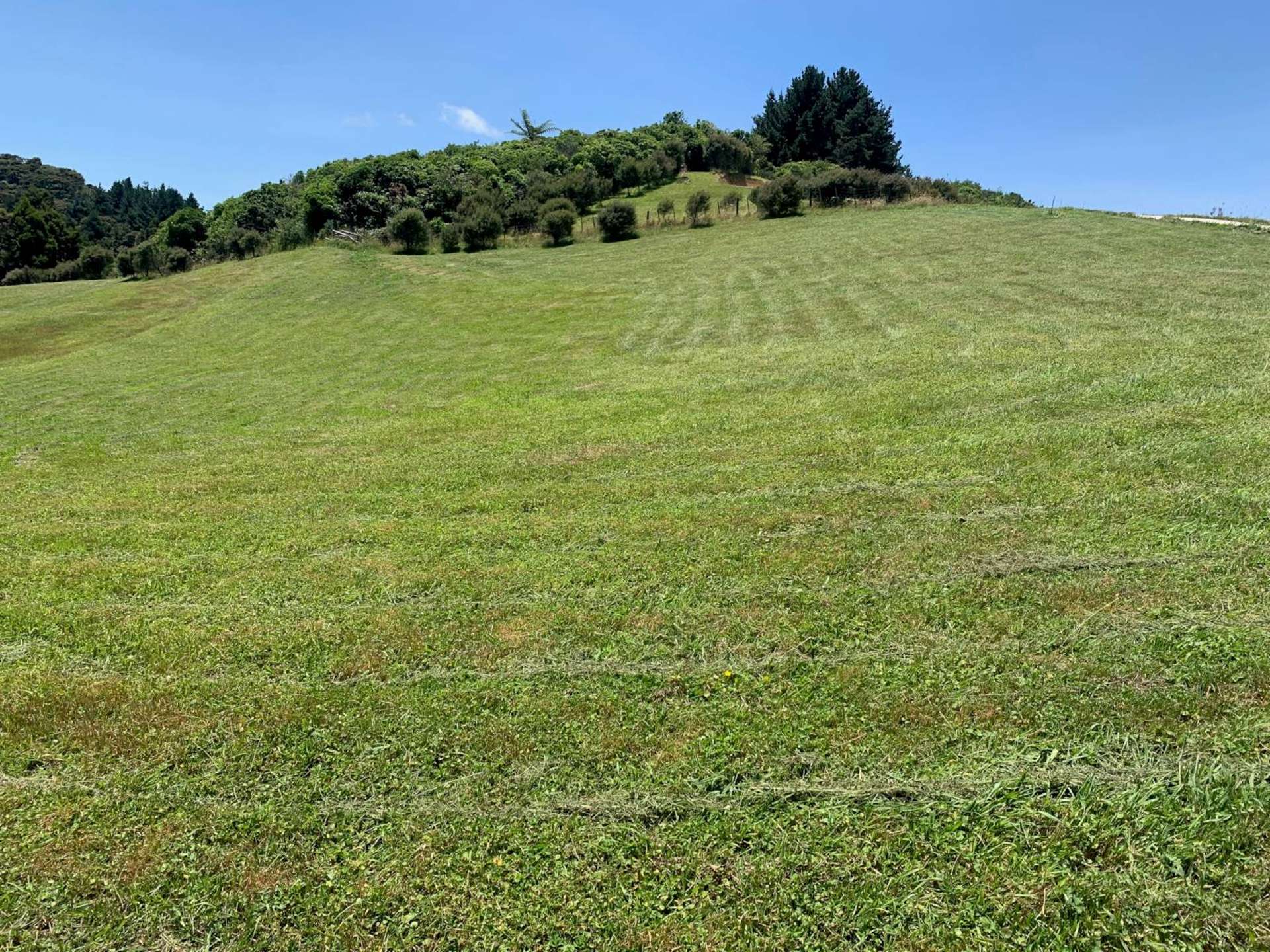 177A Moir Hill Road Puhoi_0