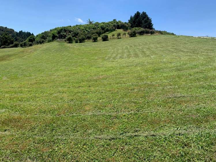 177A Moir Hill Road_0