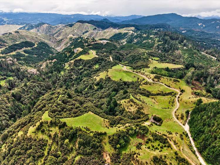 3086 Tuahu Road Tauwhareparae_1