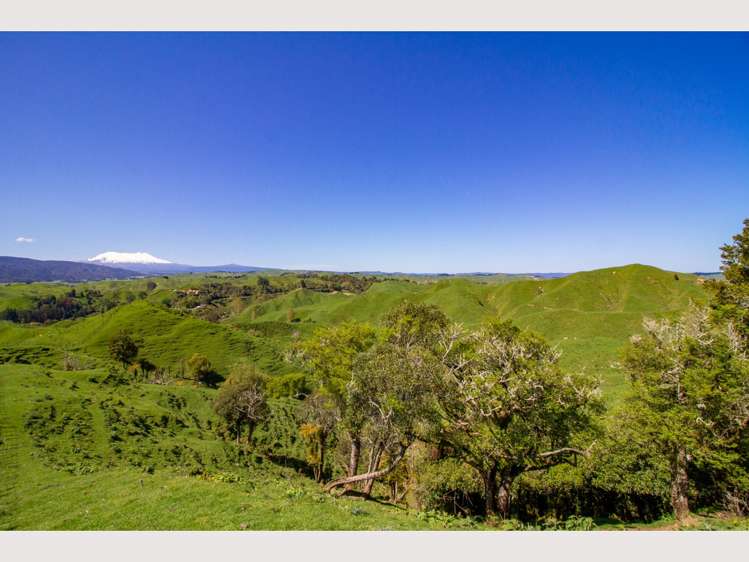 314 Kawautahi Road Owhango_18