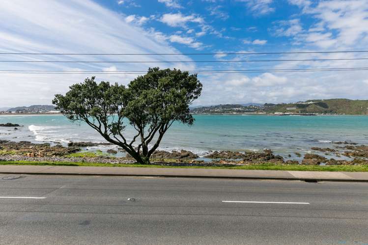 312 Queens Drive Lyall Bay_2