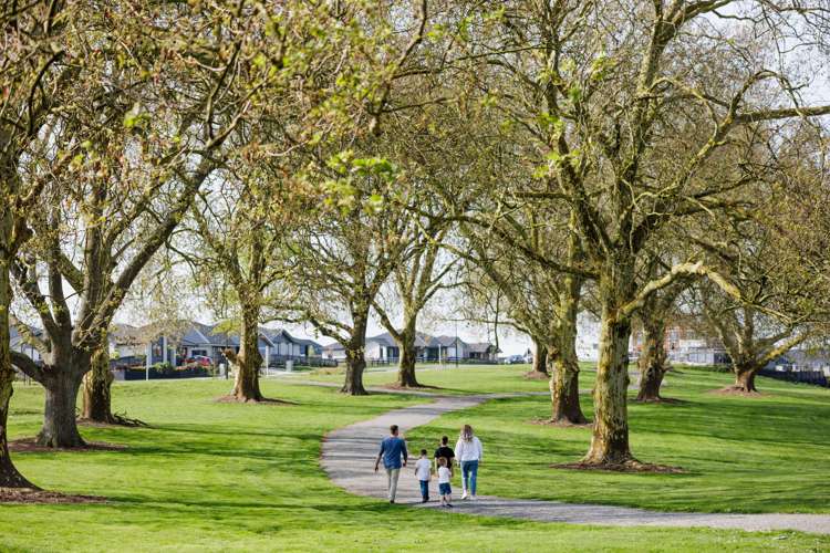 43 Lockerbie Street Morrinsville_9