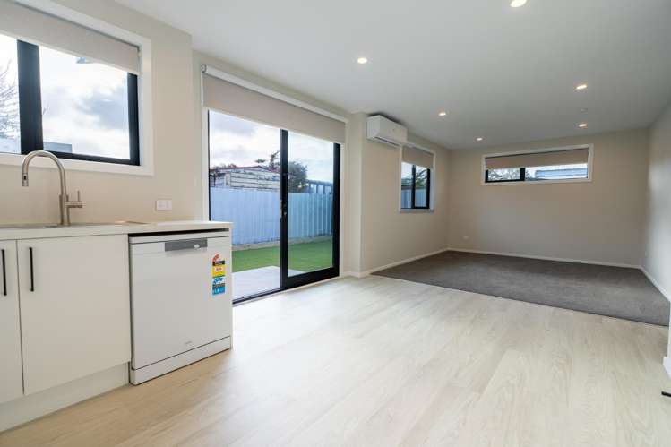 86B Hinau Street 1200_2