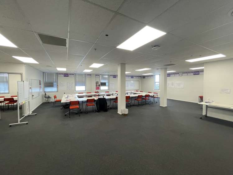 8 Virginia Avenue Eden Terrace_3