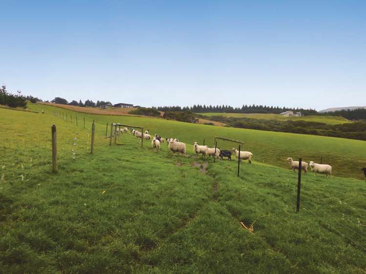 29 Liddells Road Taieri Mouth_0