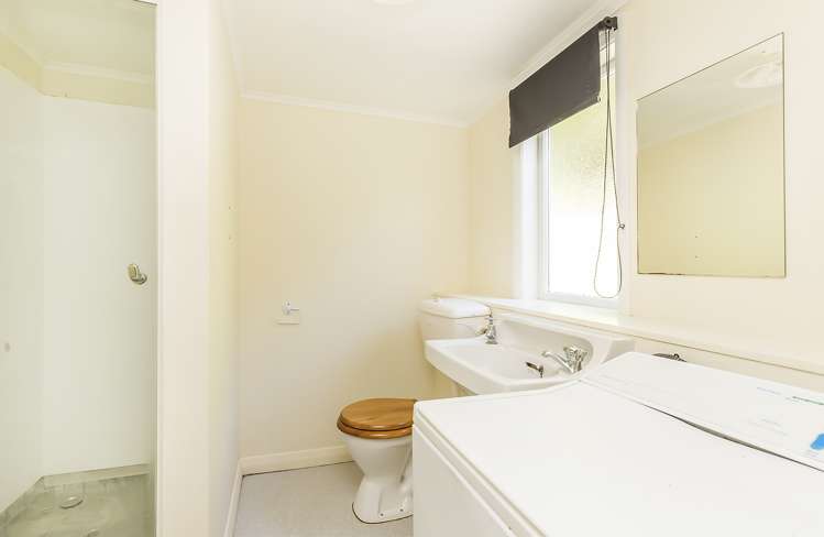 211 Aro Street Aro Valley_6