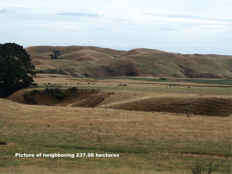 746 Te Awa Road Central Hawkes Bay Coastal_17