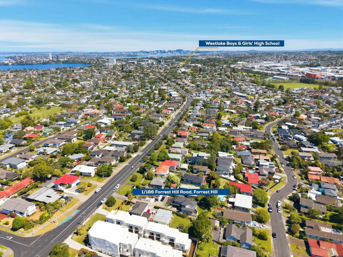 Lot 2/186 Forrest Hill Road_2