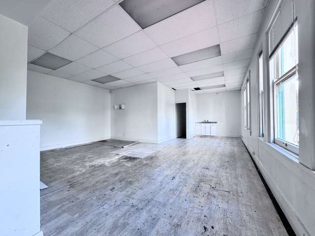 327C Dominion Road Mt Eden_2