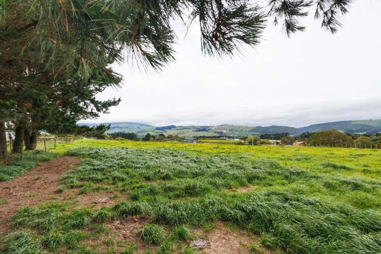 65 Harrisons Line Ashhurst_23