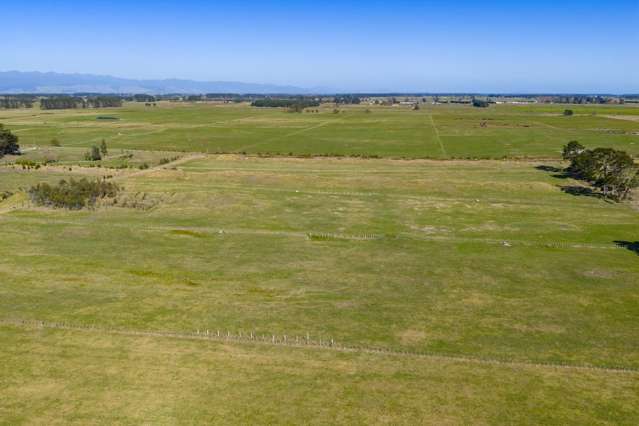 177 Downs Road Himatangi_3