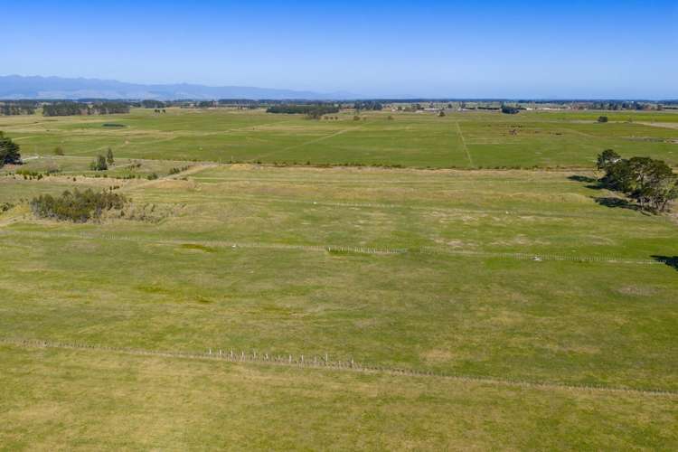 177 Downs Road Himatangi_3