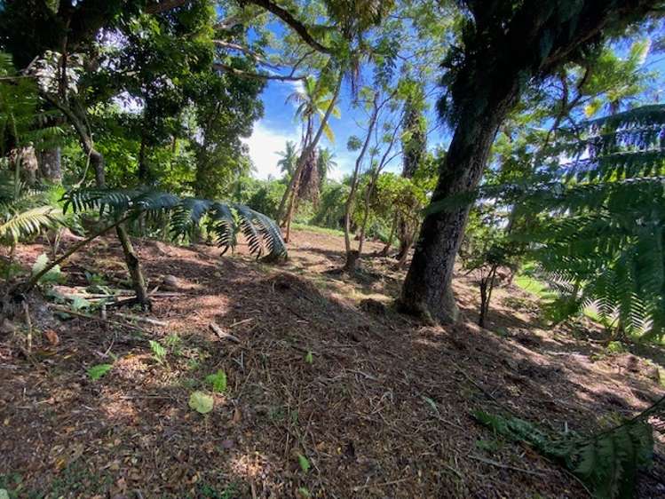 Lot 4 Vai Vai Loop, Woodward Drive, Naveria Heights, Savusavu, Savusavu_8