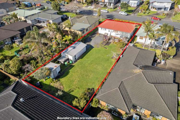 11 Williams Avenue Pakuranga_1