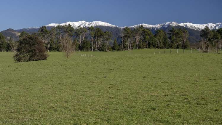 Burnetts Road Masterton_15