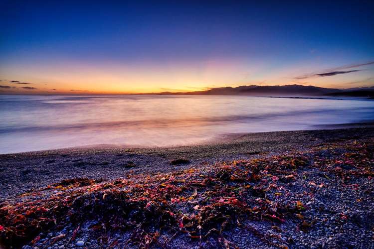 142 South Bay Parade Kaikoura_7