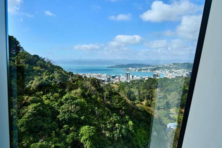 64A Orangi Kaupapa Road Northland_20