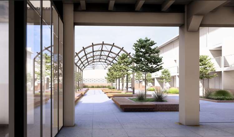 206 Queen Street West Hastings Central_5