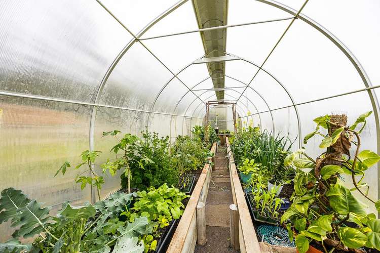 309 Signal Hill Road Opoho_33