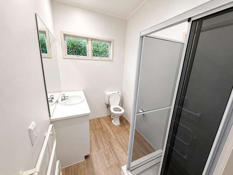 22B Jervois Road Ponsonby_9