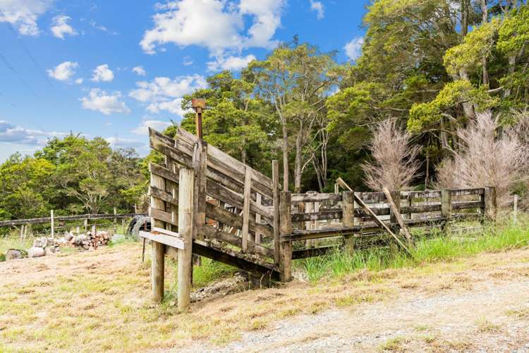 Lot 2 Waimanu Road Wellsford_10