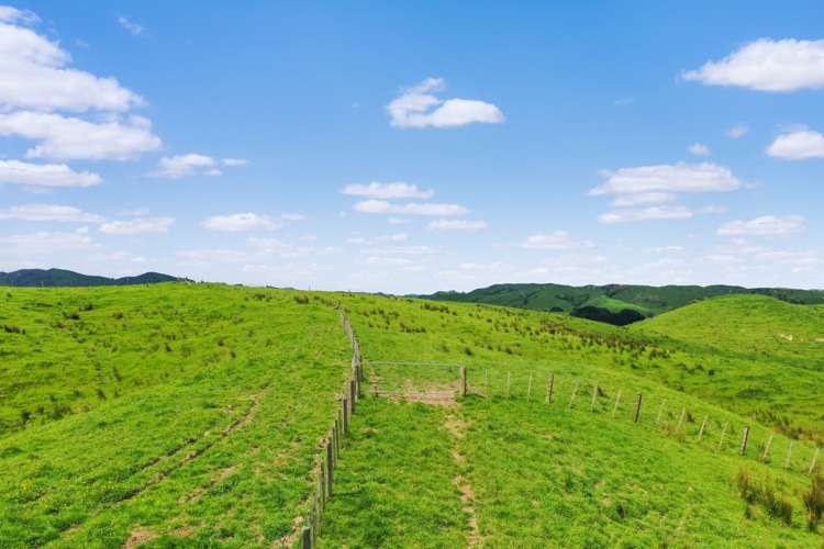 Thompsons Road Pahiatua_12