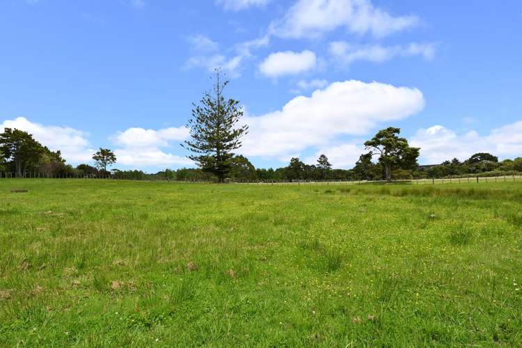 867 Kahikatea Flat Road Waitoki_25