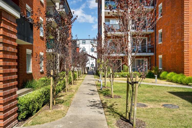 G05/1c Soljak Place Mount Albert_20