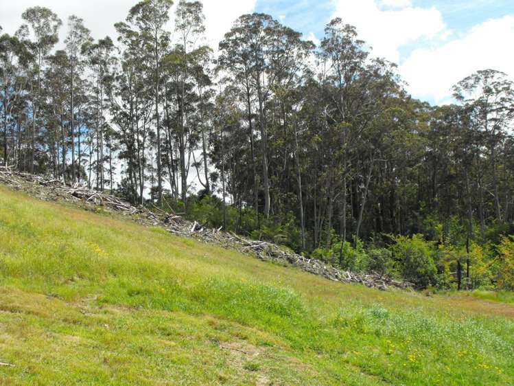 35 Alderton Drive Kerikeri_0