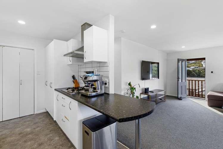 45A Dominion Park Street Johnsonville_6
