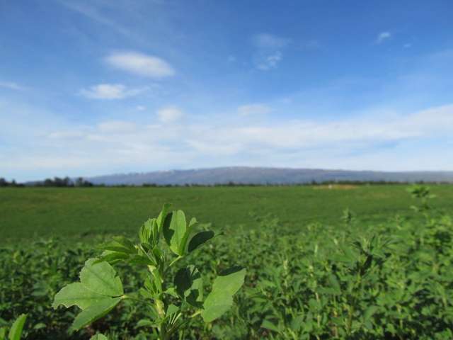 548 Springvale Road Alexandra_1