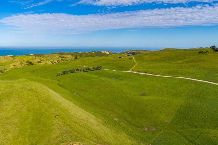 559 Mahuta Road Dargaville_27