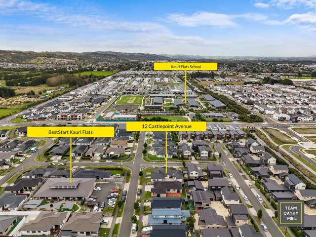 12 Castlepoint Avenue Takanini_2