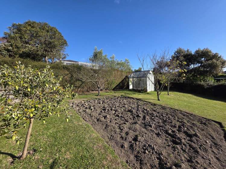5 Tamar Street South Hill_13