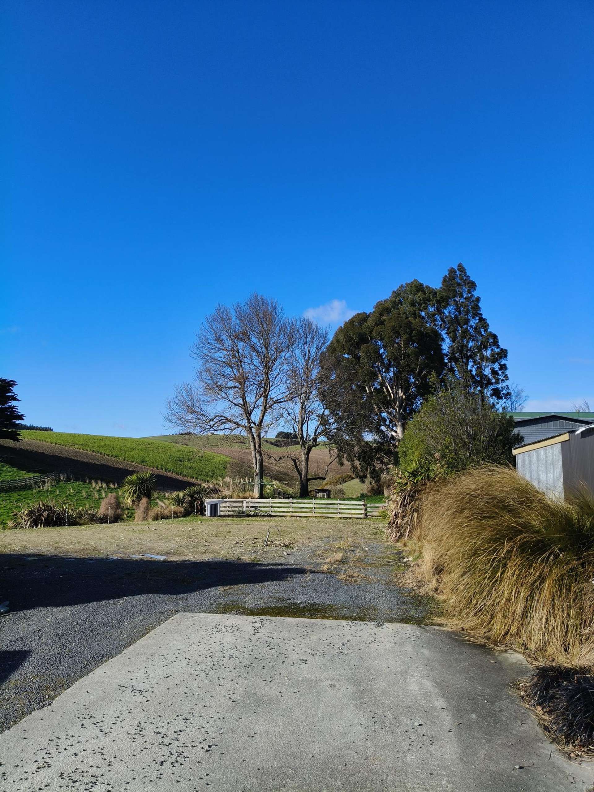 24c Thurso Street Lawrence_0