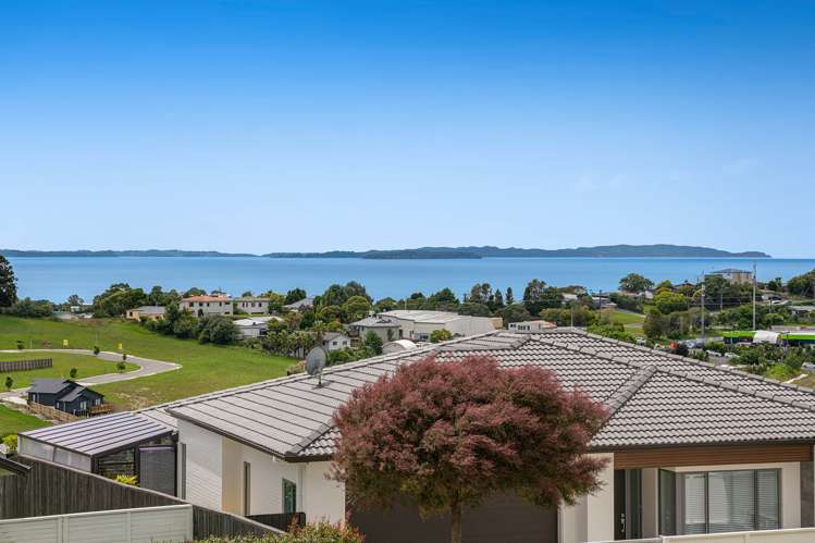 9 Ruth Craig Place Stanmore Bay_2