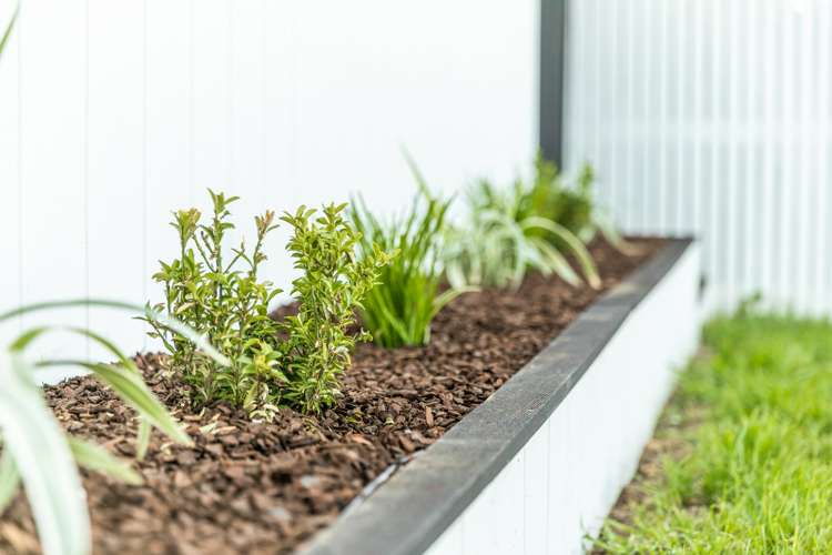 25 Duncansby Road Stanmore Bay_26