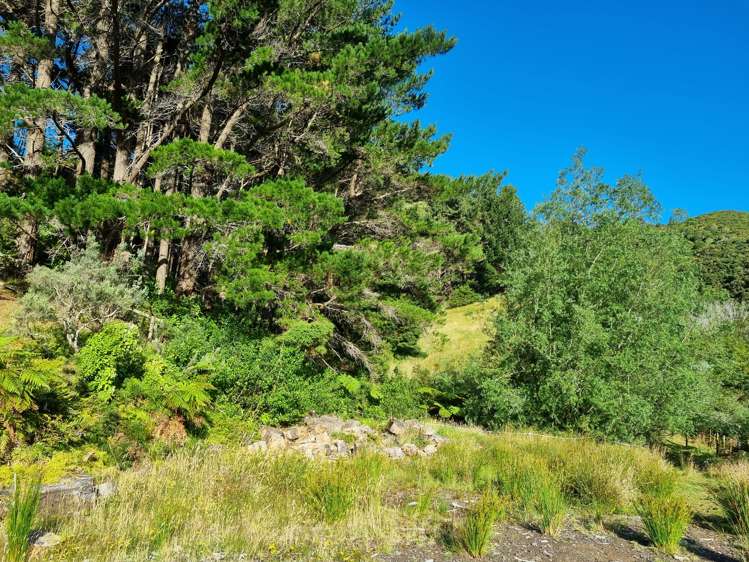 234 Stratton Street Normandale_13